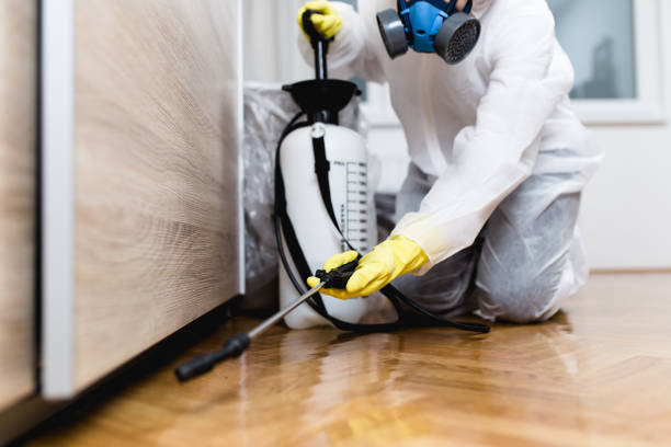Best Pest Inspection Near Me  in Centralia, WA