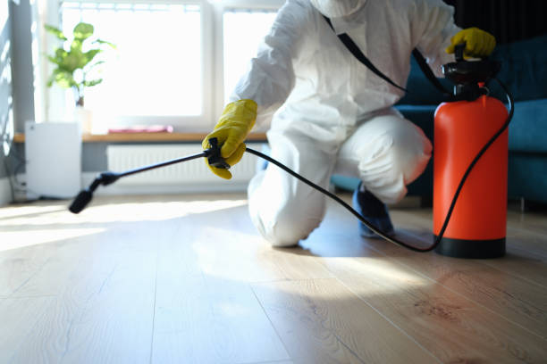 Professional Pest Control in Centralia, WA
